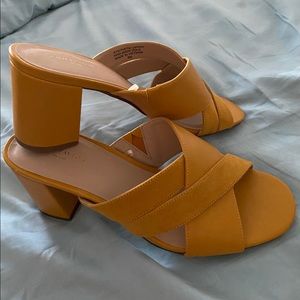 Mustard Colored Mules